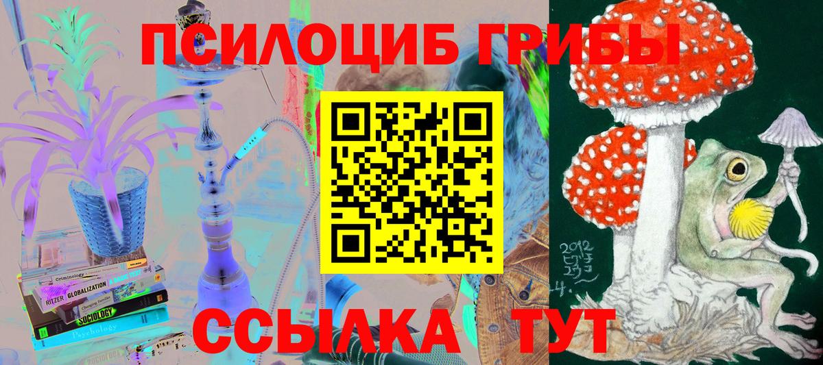 как найти наркотики  Вход с VPN  Алексин  Псилоцибиновые грибы ЛСД 